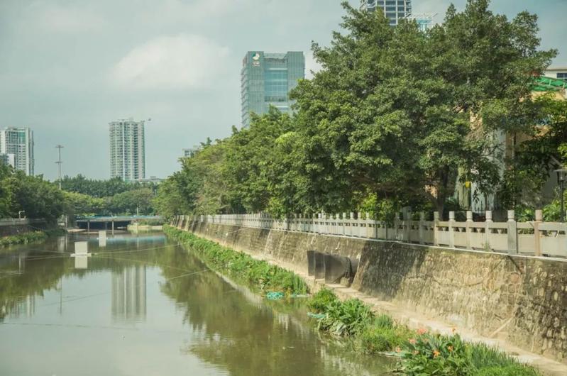 寶安水經注&middot;新安 | 堤岸拂綠、花紅臨水,河流讓城市更靈動